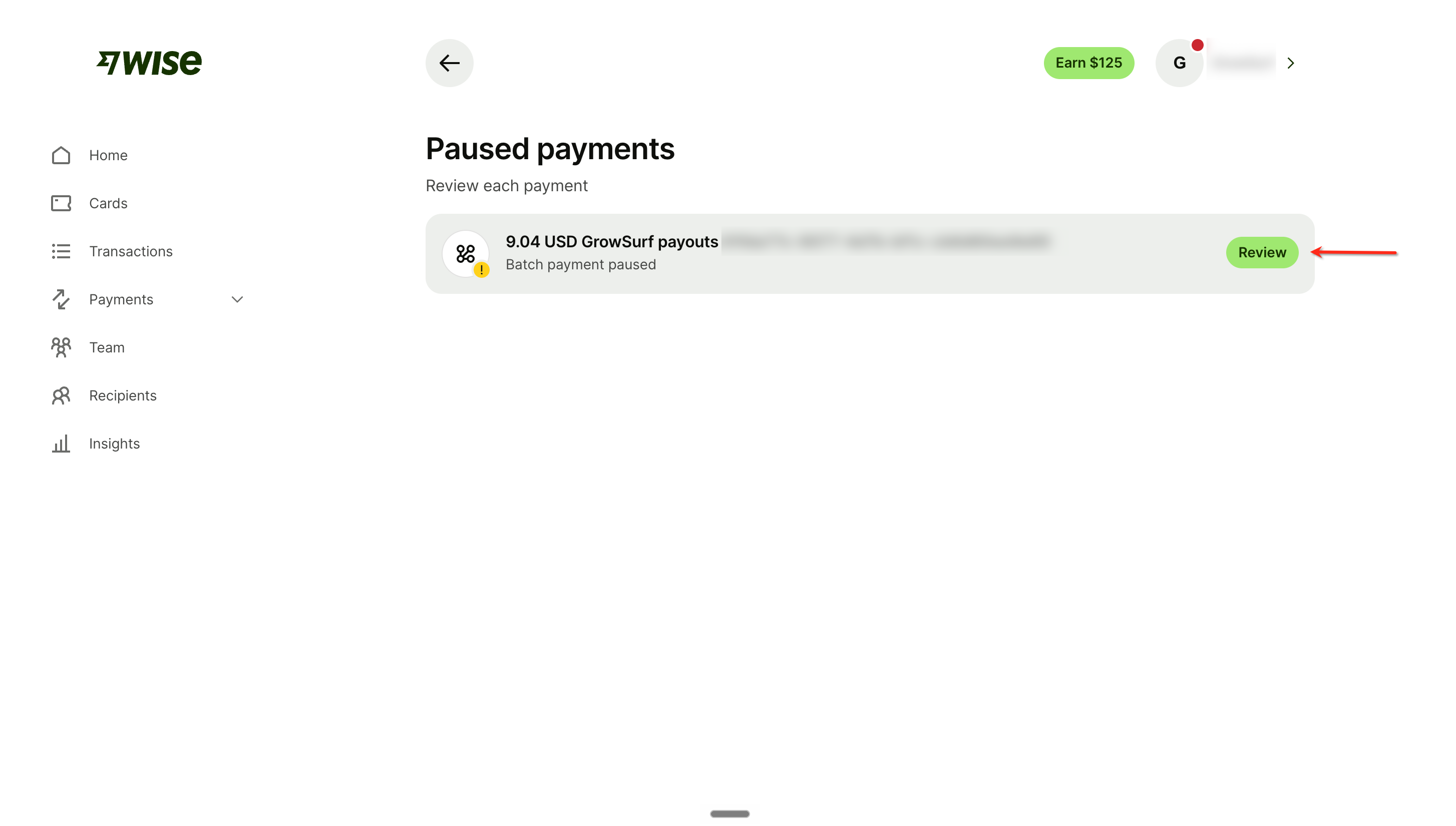 The Wise paused payments page with a GrowSurf payout batch and its Review button highlighted